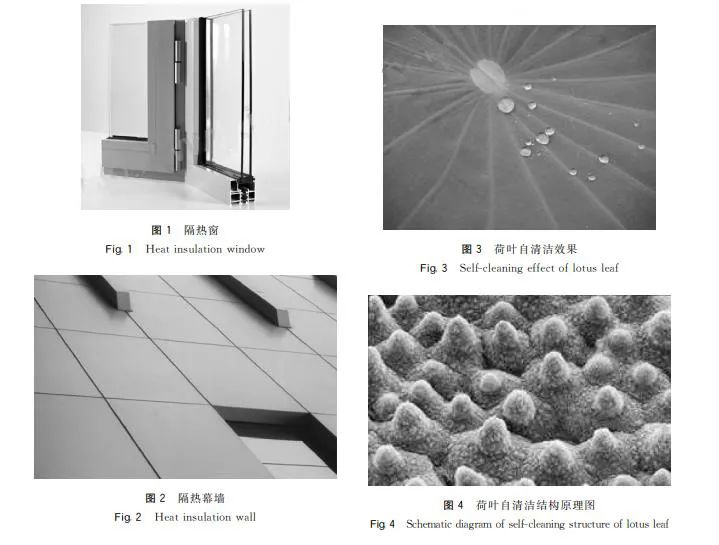 1605664464568019.jpg 640 (4).jpg