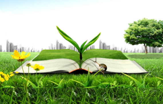 1615855771113870.png image.png