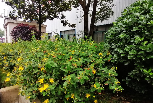 1621559291581058.png image.png