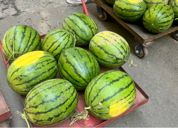 1660720237378249.png image.png