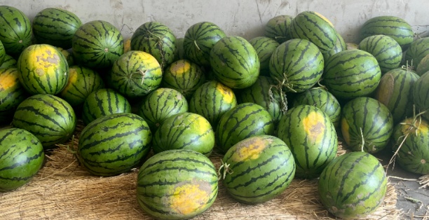 1660720294518145.png image.png